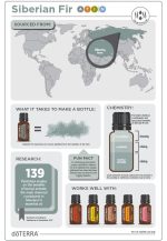 doTERRA Huile Essentielle de Sapin de Sibérie (15ml) – Image 4