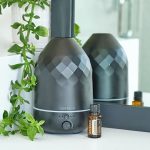 doTERRA Huile Essentielle Bois de Gaïac (15ml) – Image 5
