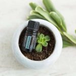 doTERRA Black Pepper (Poivre Noir) Huile Essentielle (5ml)