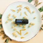 doTERRA Blue Tansy (Tanaisie Bleue) Huile Essentielle (5ml)