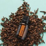doTERRA Clove (Clou de Girofle) Huile Essentielle (15ml)