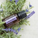 doTERRA Lavender (Lavande) Huile Essentielle (15ml)