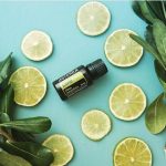 doTERRA Lime (Citron Vert) Huile Essentielle (15ml)