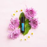 doTERRA Peace Touch Roll-on (10ml)