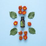 doTERRA Rosemary (Romarin) Huile Essentielle (15ml)