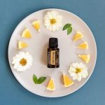 doTERRA Wild Orange (Orange Sauvage) Huile Essentielle (15ml)