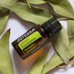 doTERRA Lemon Eucalyptus (Eucalyptus Citronné) Huile Essentielle (15ml)
